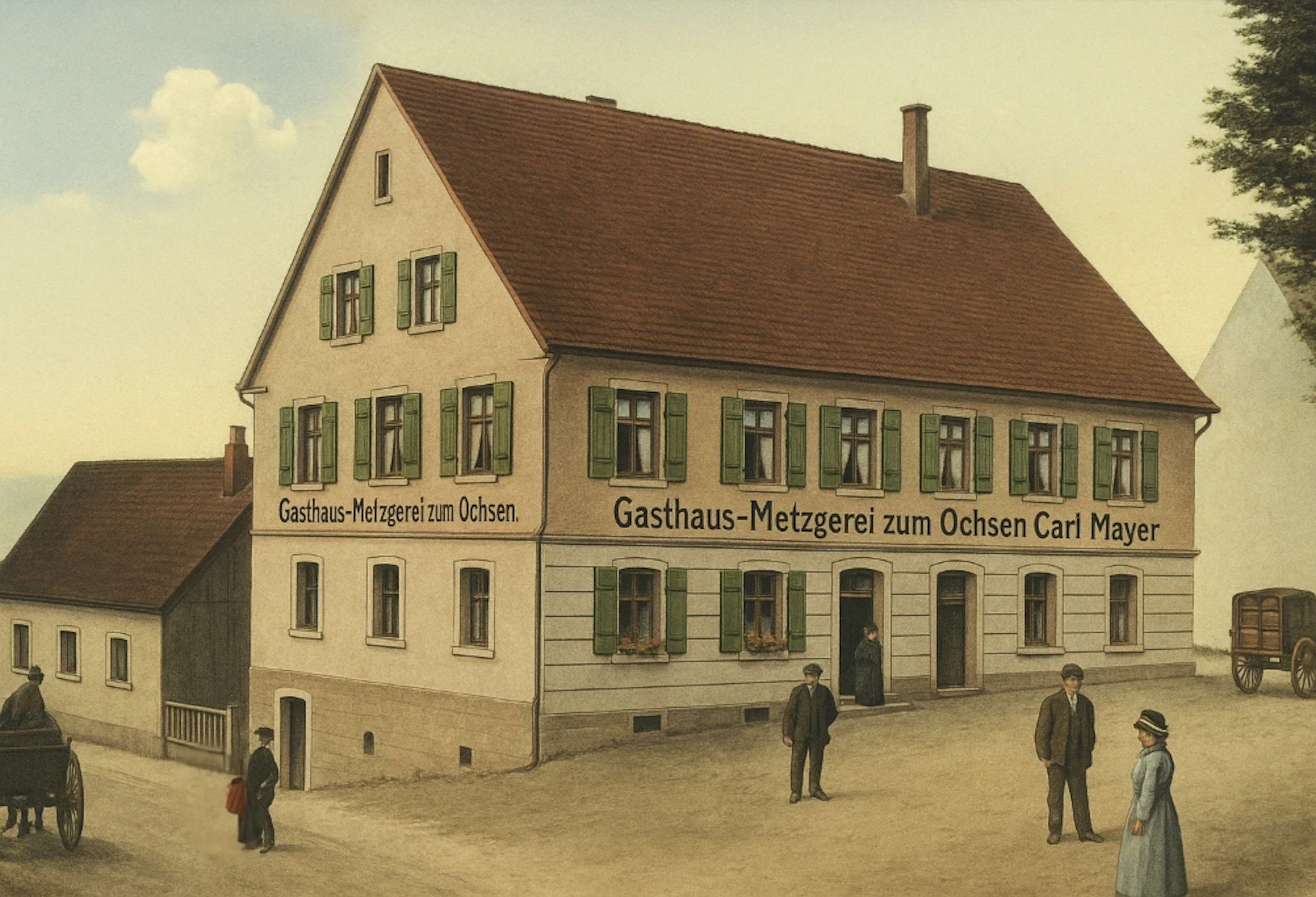 Ochsen um 1900