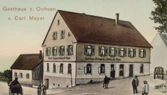 Ochsen um 1900
